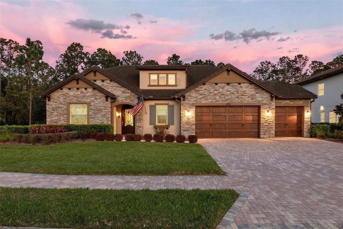 House in Wesley Chapel, Florida, United States 1 - 17457306
