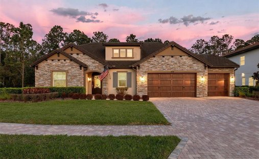 Casa en Wesley Chapel, Florida, Estados Unidos 1