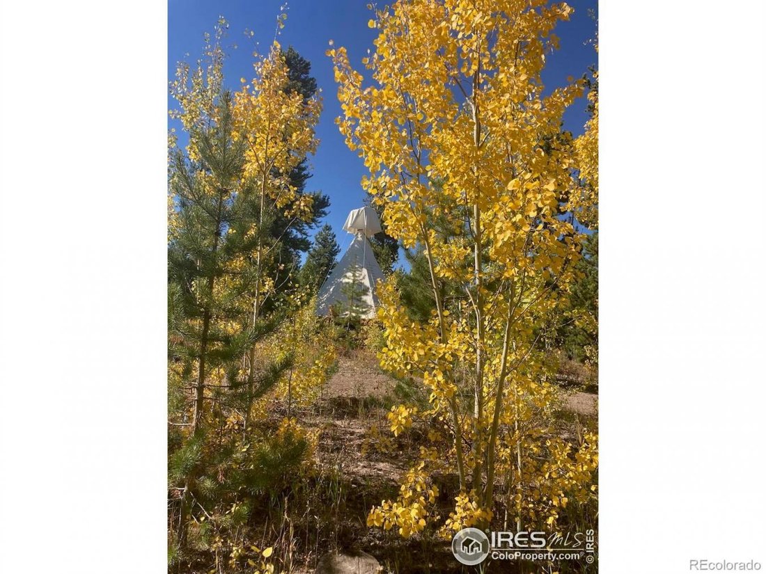 House in Grand Lake, Colorado, United States 4 - 17461244