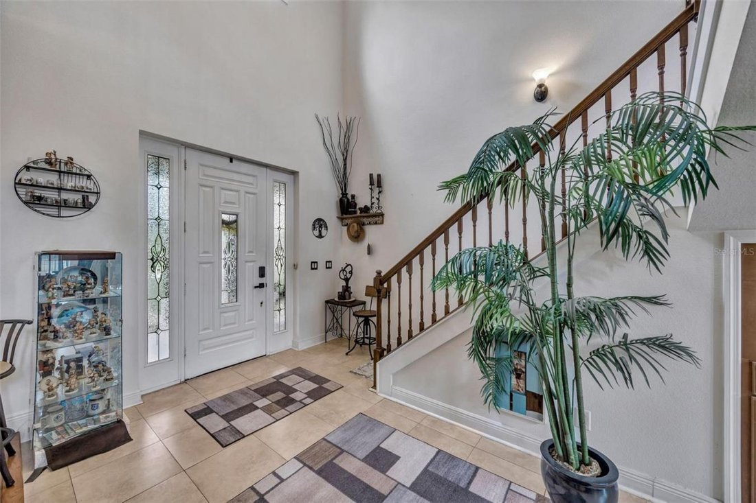 House in Lutz, Florida, United States 4 - 17457317