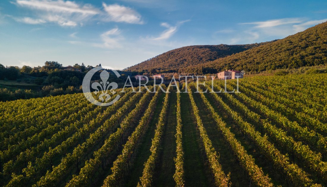 Country House in Castelnuovo Berardenga, Tuscany, Italy 3 - 17451152