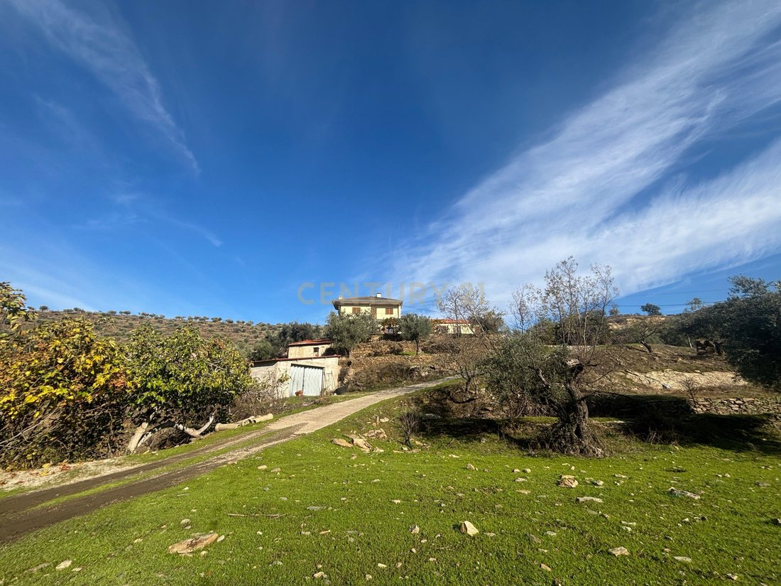 Farm Ranch in Torre de Moncorvo, Braganca District, Portugal 5 - 17454899