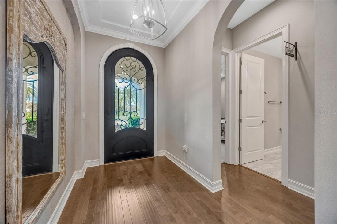 House in Wesley Chapel, Florida, United States 3 - 17457306
