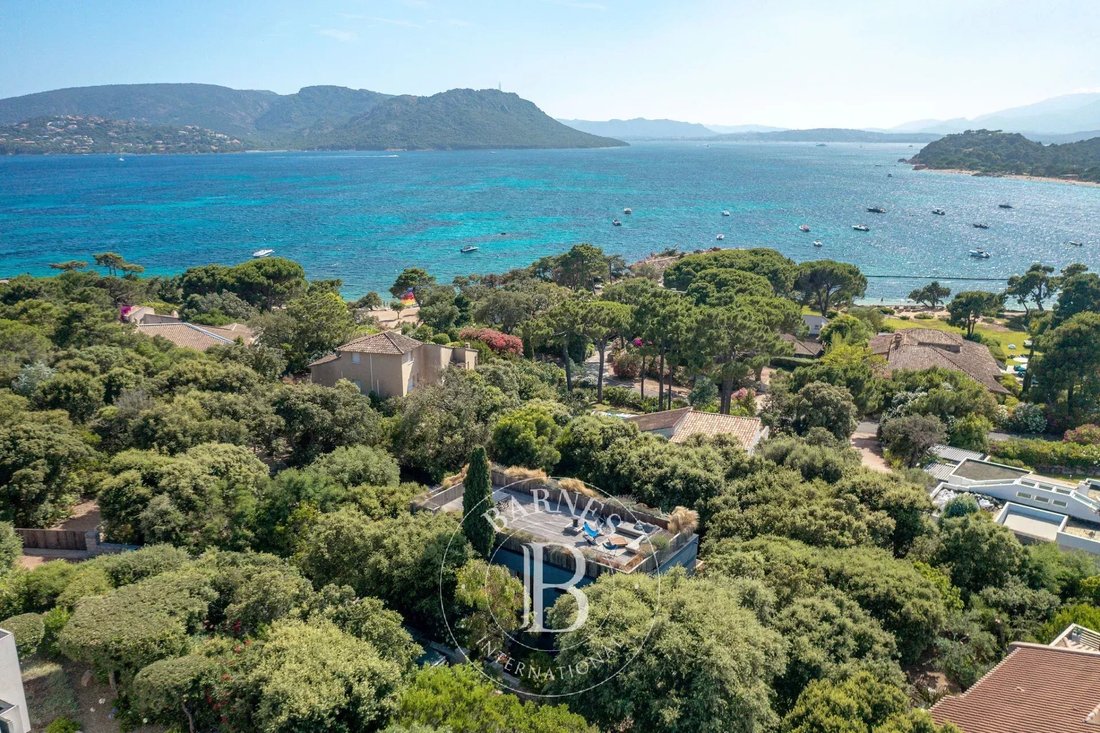 Villa in Lecci, Corsica, France 2 - 17454508