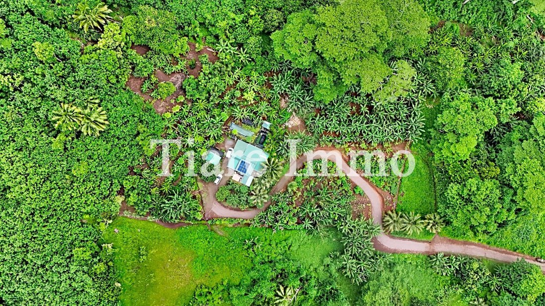 Farm Ranch in Moorea-Maiao, Windward Islands, French Polynesia 2 - 16942031