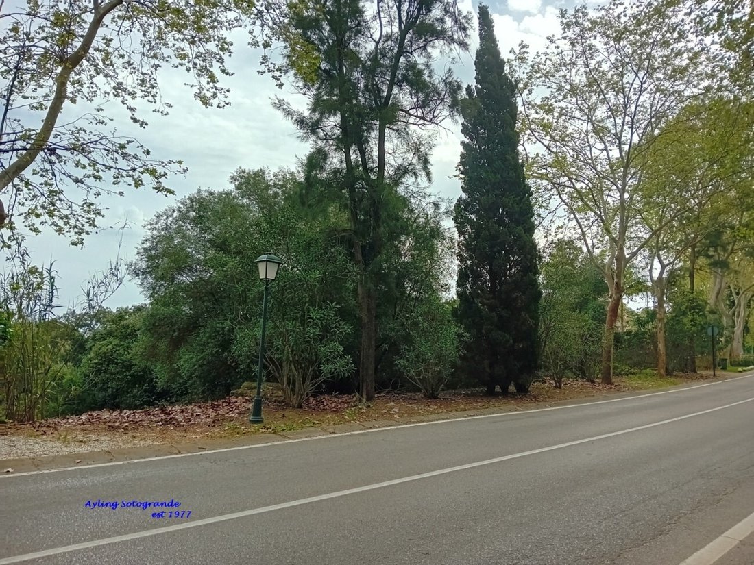 Land in Sotogrande, San Roque, Andalusia 1 - 17453213