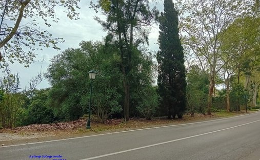 Land in Sotogrande, San Roque, Andalusien 1