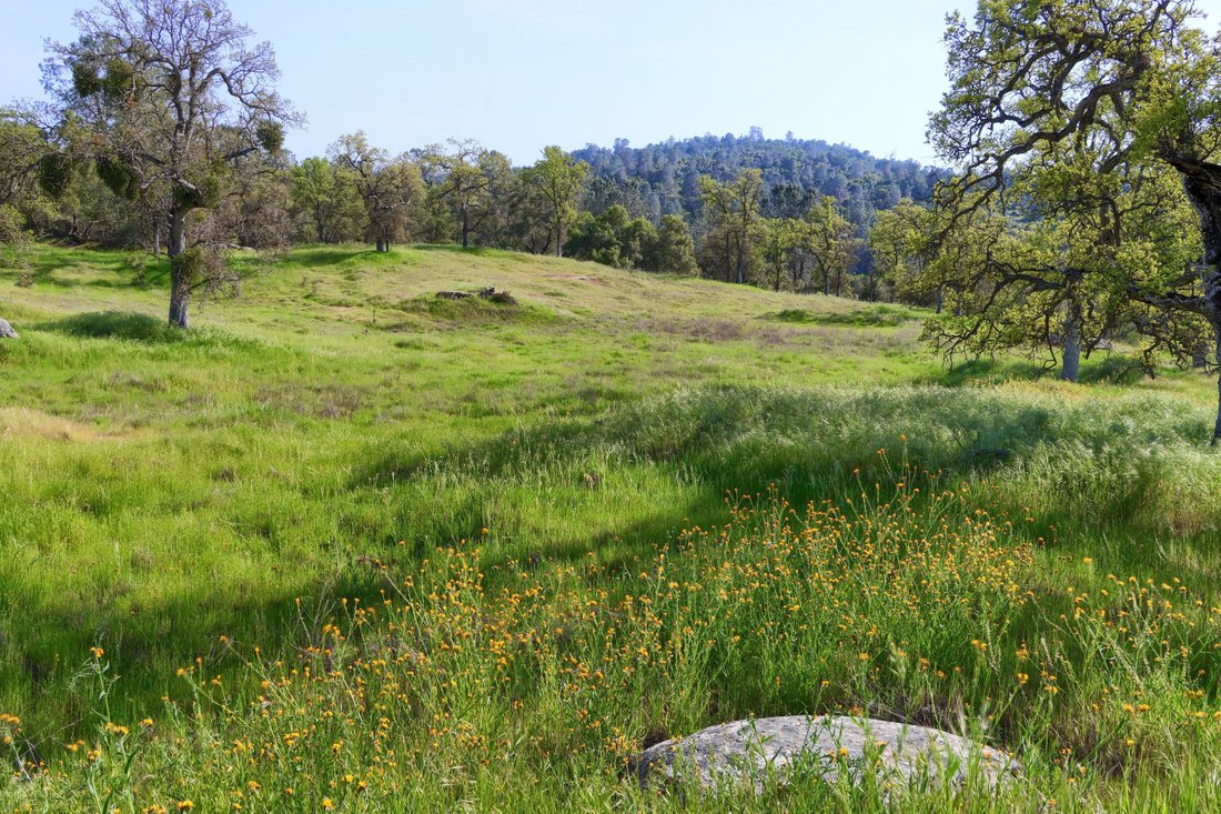 Land in Coarsegold, California, United States 5 - 17463165
