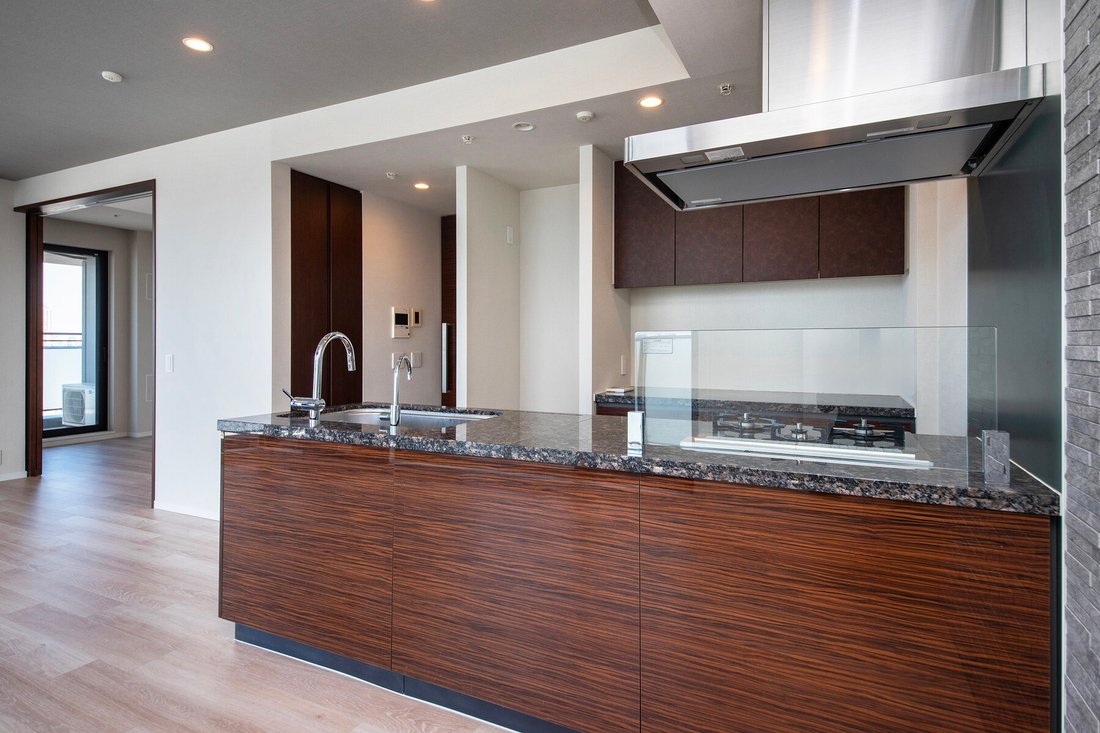 Condo in Minato City, Tokyo, Japan 4 - 17463260