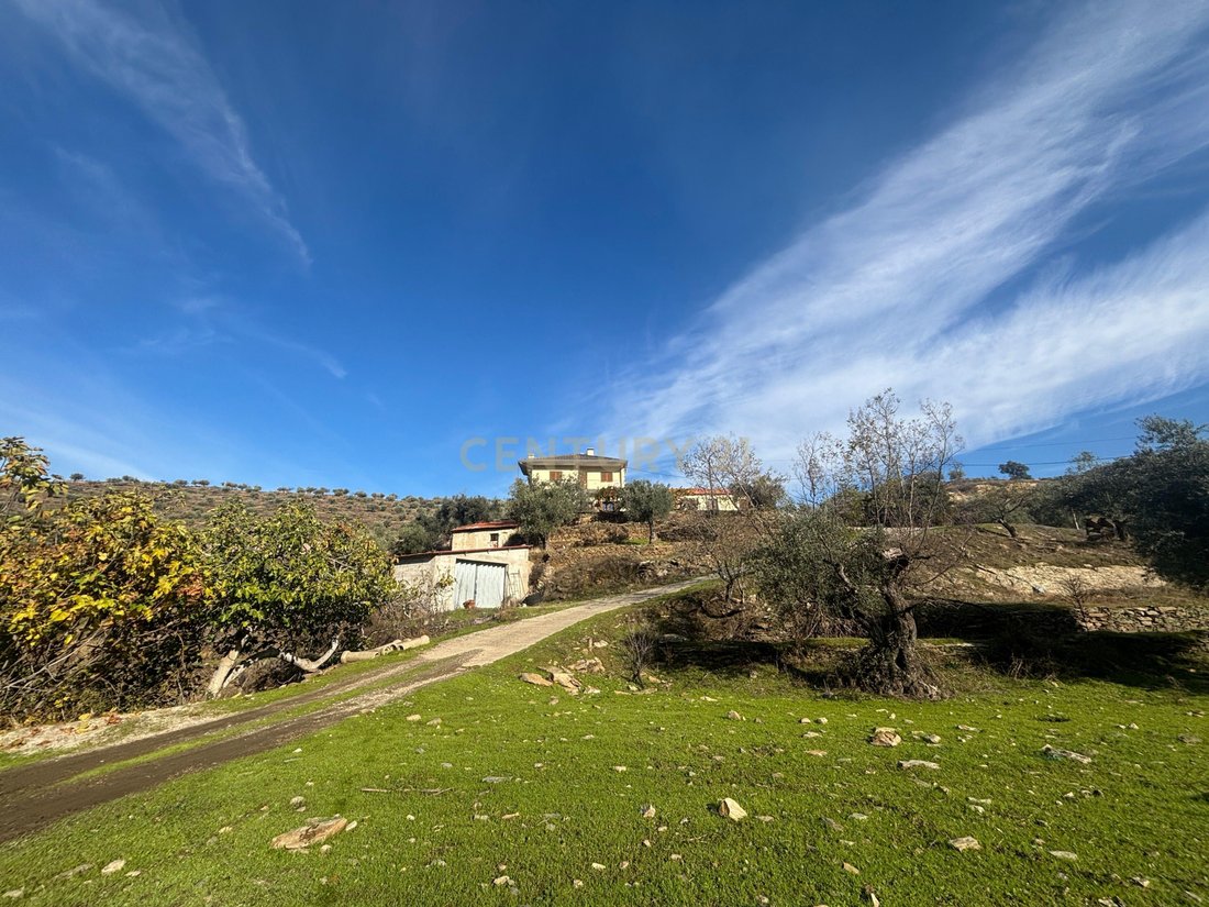 Farm Ranch in Torre de Moncorvo, Braganca District, Portugal 1 - 17454899