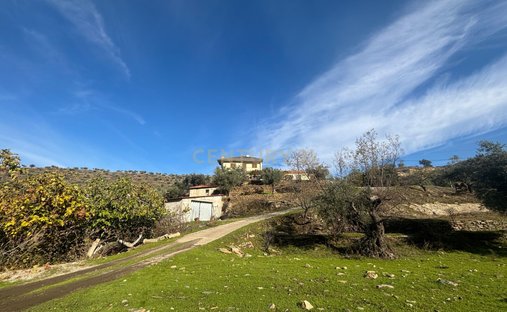 Azienda agricola a Torre de Moncorvo, Distretto di Braganza, Portogallo 1
