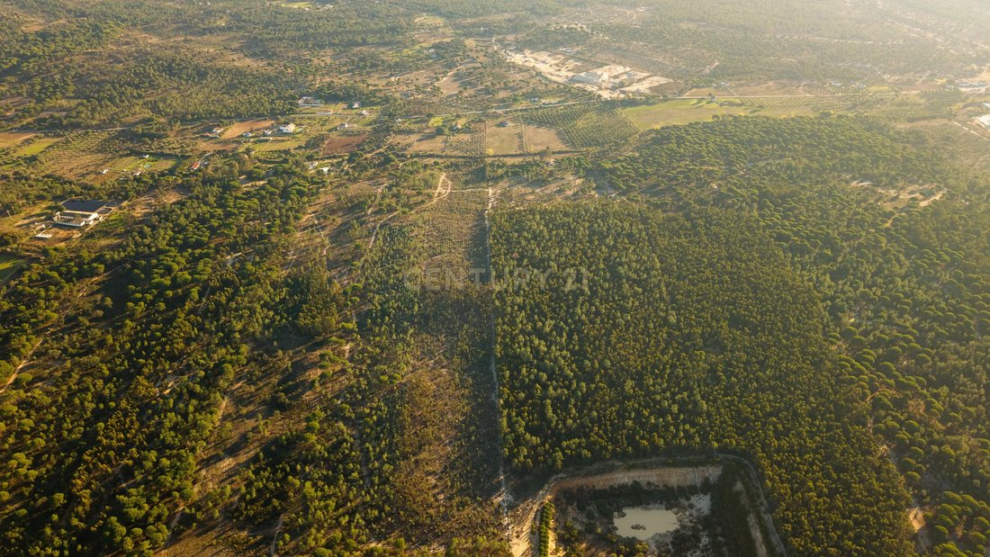 Land in Melides, Setubal, Portugal 3 - 17454909