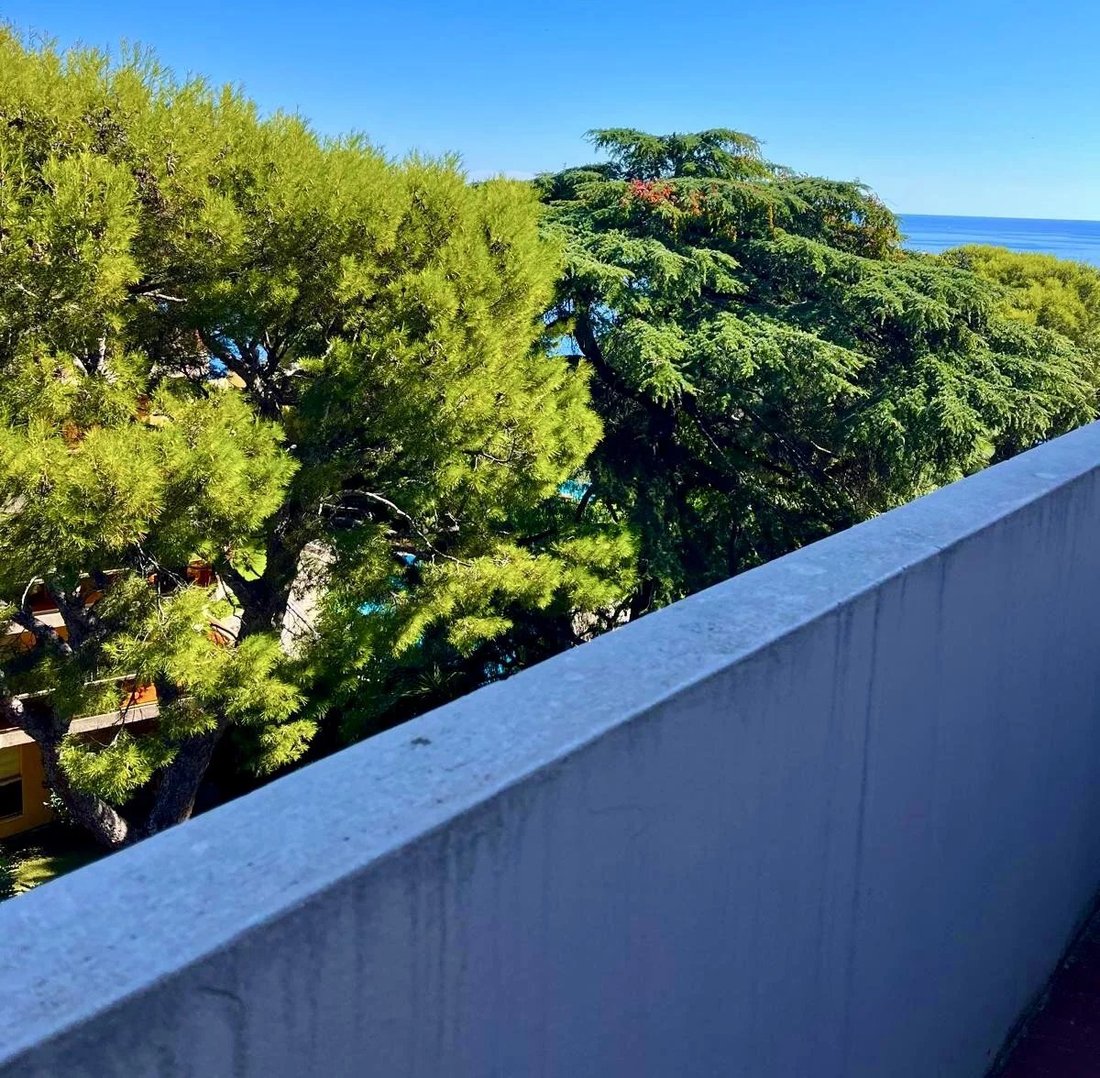 Apartment in Cap-d'Ail, Provence-Alpes-Côte d'Azur, France 5 - 17462749