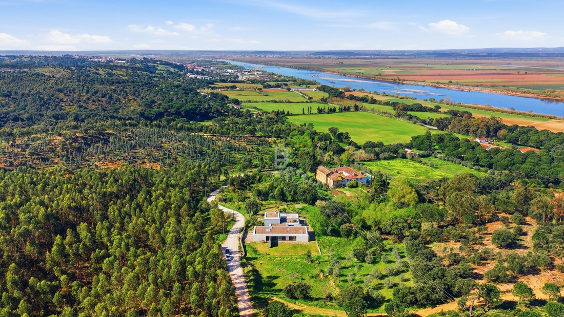 Villa in Chamusca e Pinheiro Grande, Santarem District, Portugal 2 - 17458297