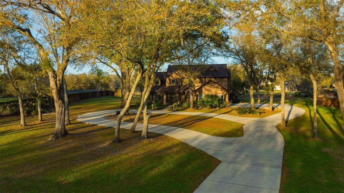 House in Lutz, Florida, United States 3 - 17457317
