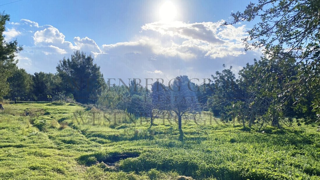 Land in Santa Gertrudis de Fruitera, Santa Eularia des Riu, Balearic Islands 1 - 17451469