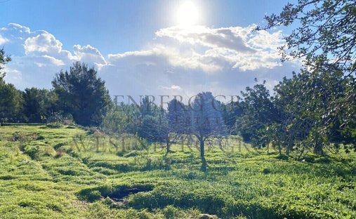 Land in Santa Gertrudis de Fruitera, Santa Eularia des Riu, Balearic Islands 1