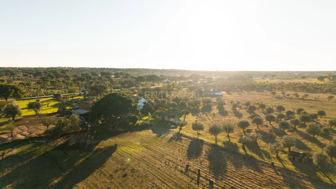 Land in Melides, Setubal, Portugal 5 - 17454909
