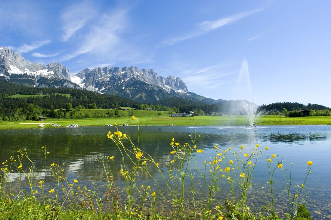 Land in Ellmau, Tyrol, Austria 2 - 17450604