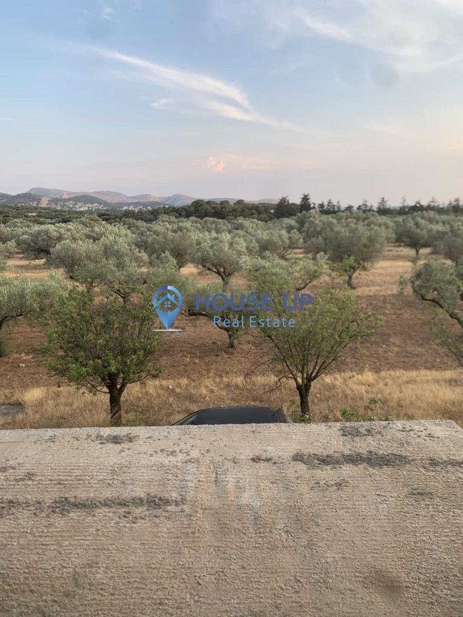 Keratea, Attica, Greece 1 - 17462747