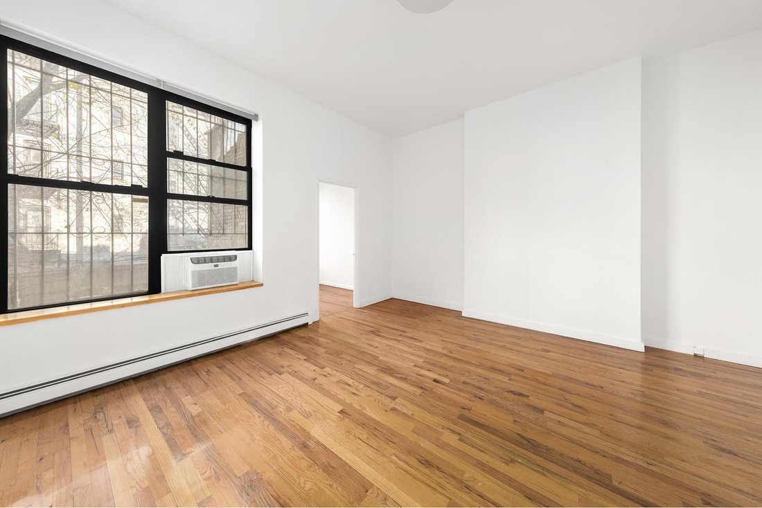 New York, New York, United States 3 - 13573429