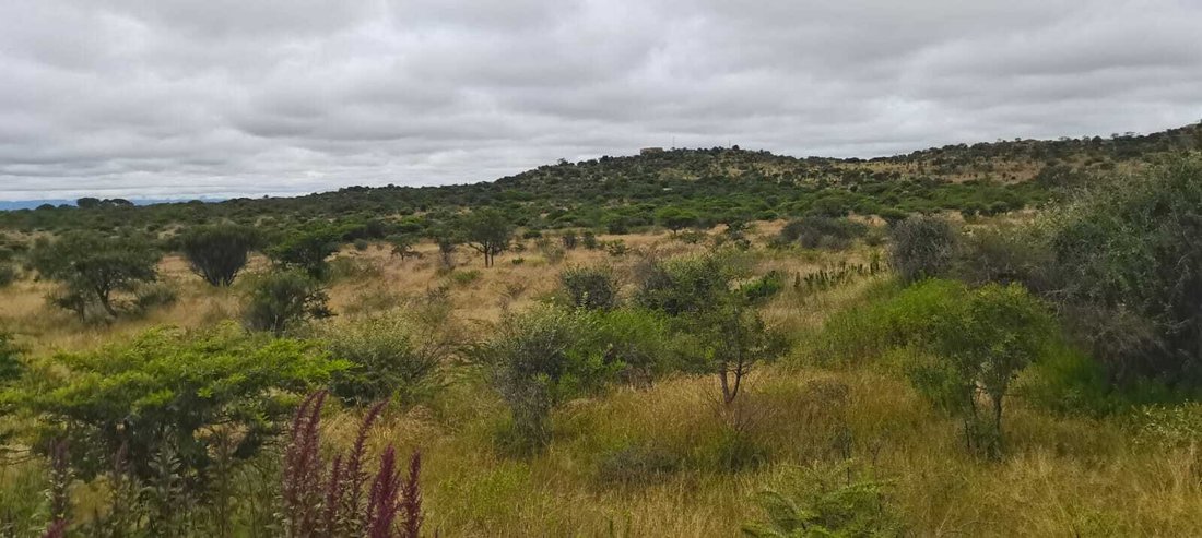 Farm Ranch in Seshego-A, Limpopo, South Africa 2 - 17451834