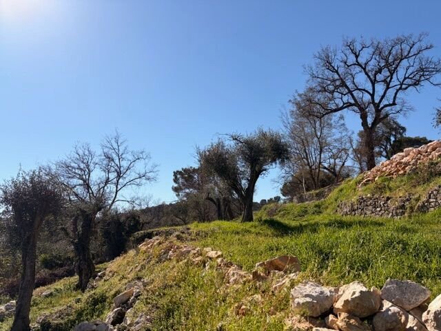 Land in Nord, Roquefort-les-Pins, France 2 - 17459281