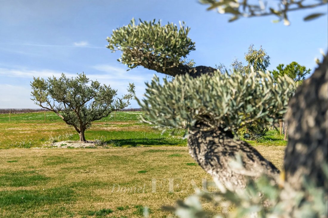 House in Cucuron, Provence-Alpes-Côte d'Azur, France 4 - 17451769
