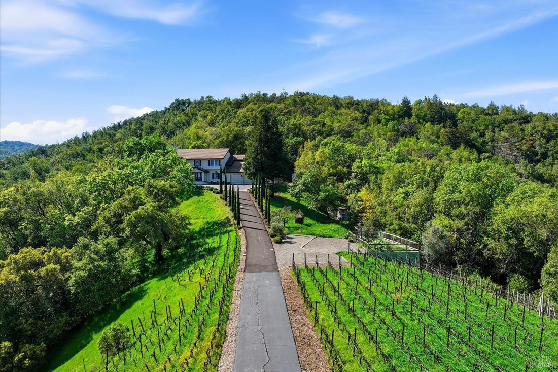House in Napa, California, United States 3 - 17452310