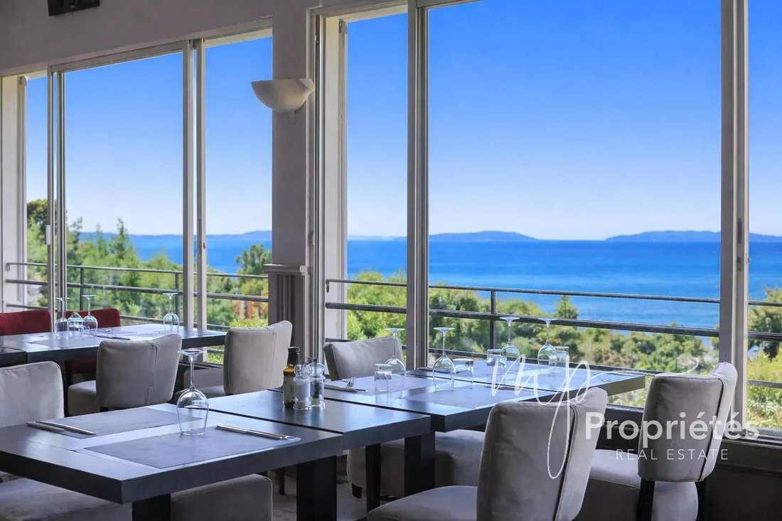 Estate in Rayol-Canadel-sur-Mer, Provence-Alpes-Côte d'Azur, France 1 - 17458965