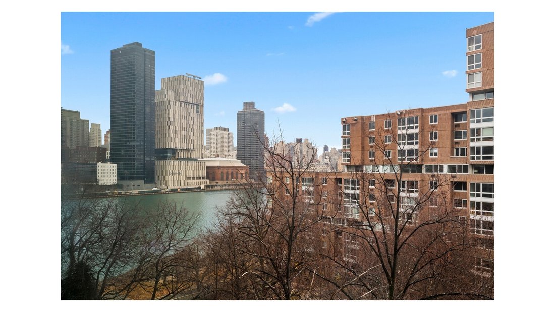 Co Op in New York, New York, United States 4 - 16742251