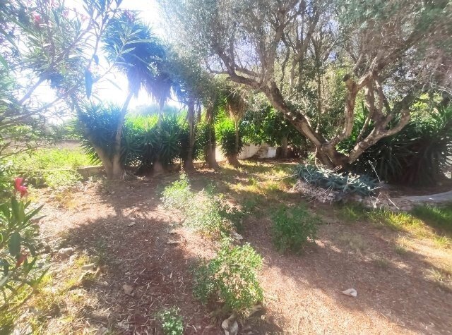 Country House in Ciutadella de Menorca, Balearic Islands, Spain 4 - 17462511