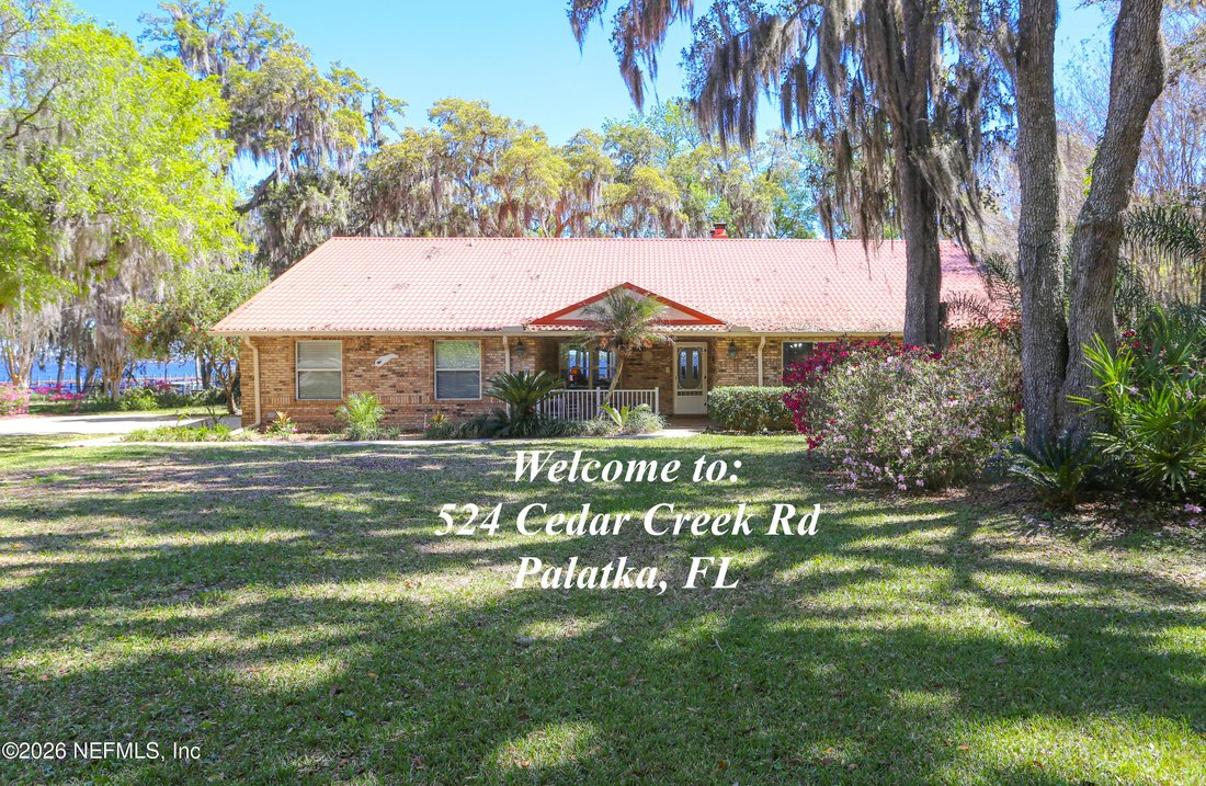 House in Palatka, Florida, United States 5 - 17462535