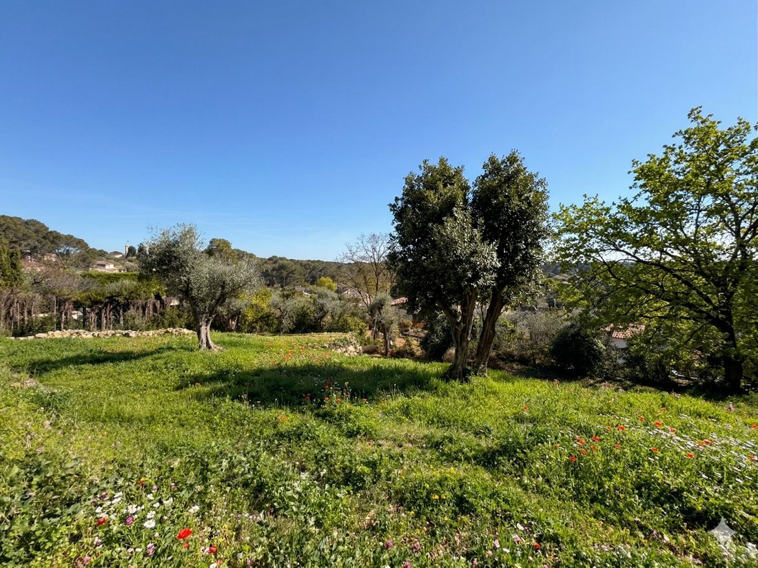 Land in Nord, Roquefort-les-Pins, France 1 - 17459281