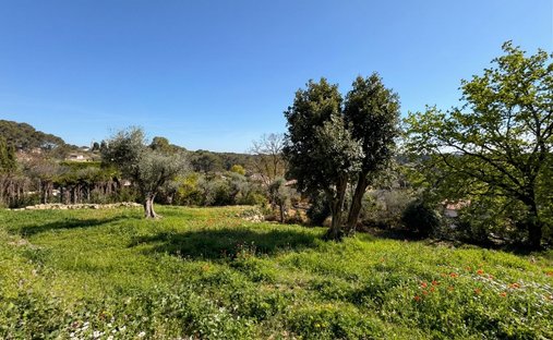 Terrain à Nord, Roquefort-les-Pins, France 1
