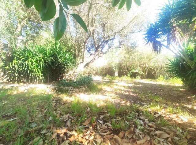 Country House in Ciutadella de Menorca, Balearic Islands, Spain 5 - 17462511