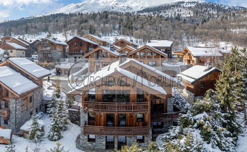 Chalet in Les Allues, Auvergne-Rhône-Alpes, France 1