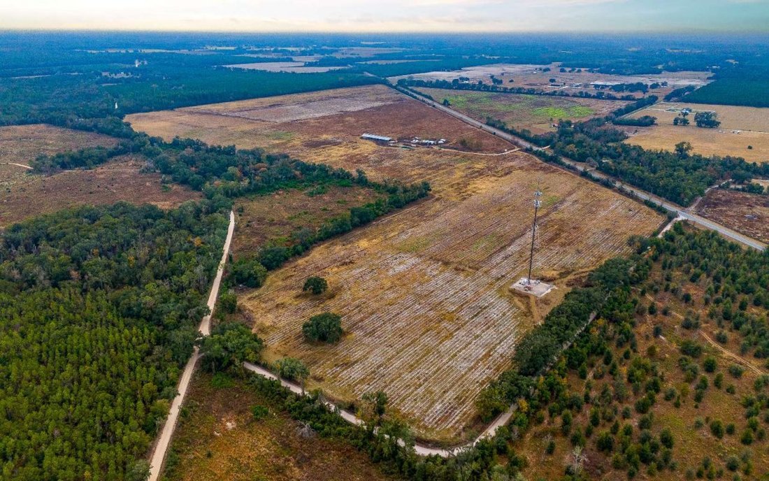 Land in Mayo, Florida, United States 2 - 17455782