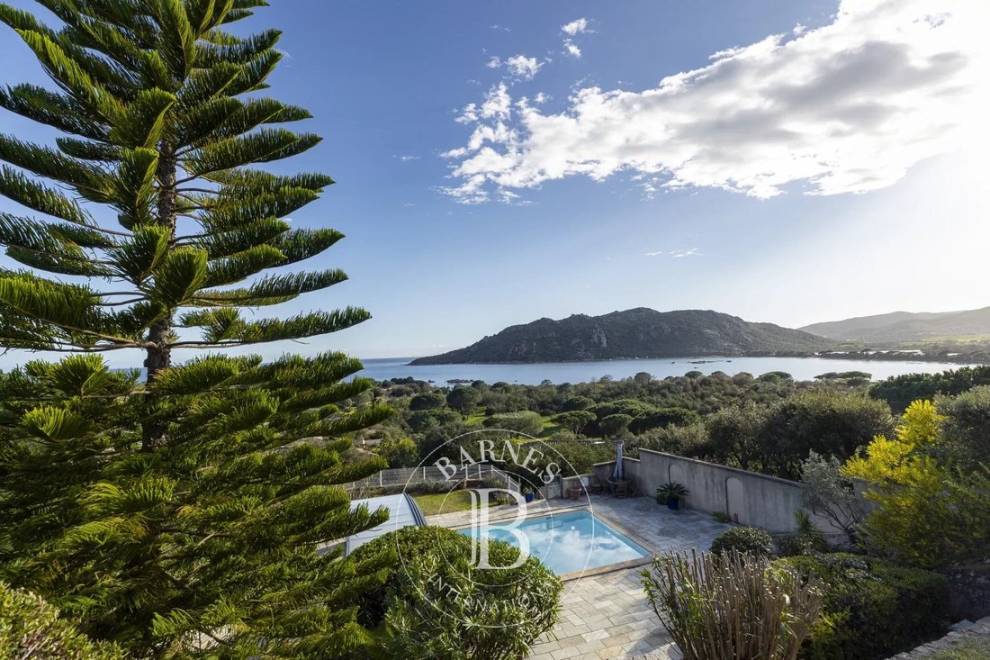 Villa in Porto-Vecchio, Corsica, France 3 - 17451353