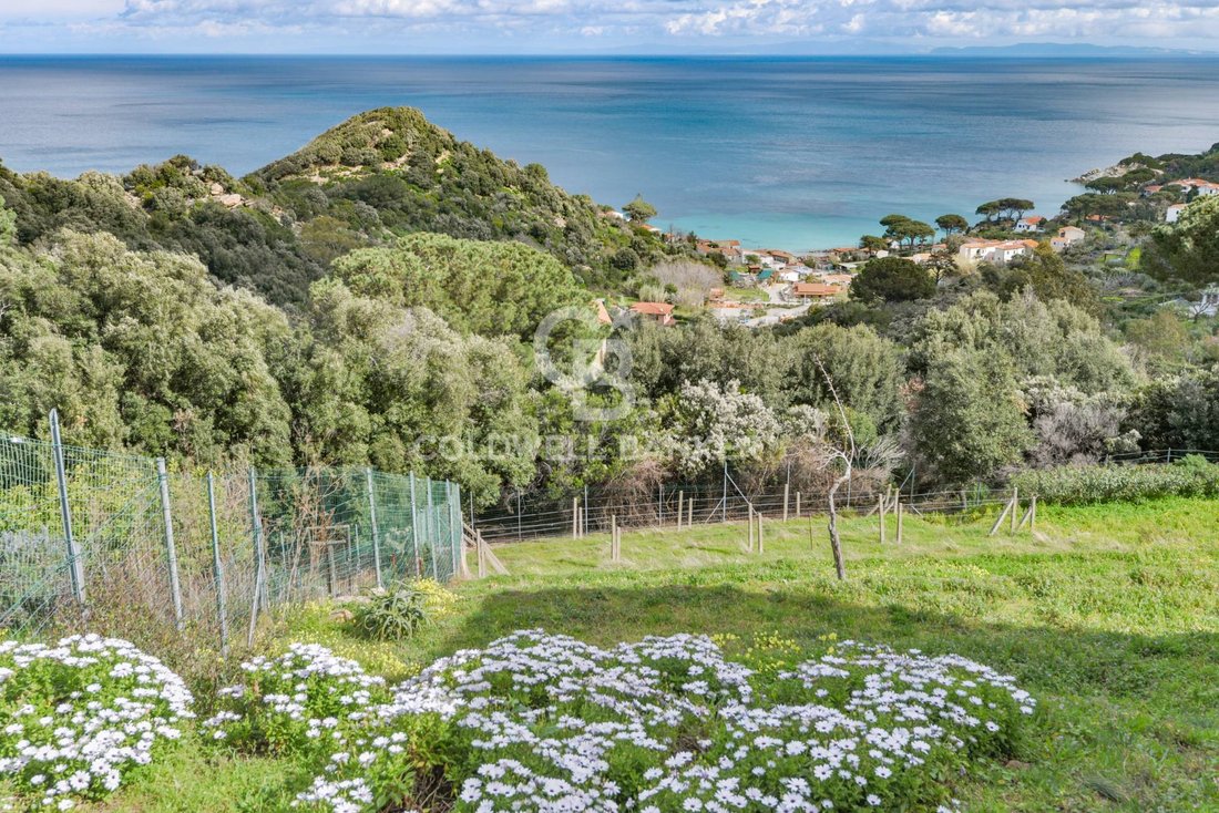 Villa in Marciana, Tuscany, Italy 4 - 17455616
