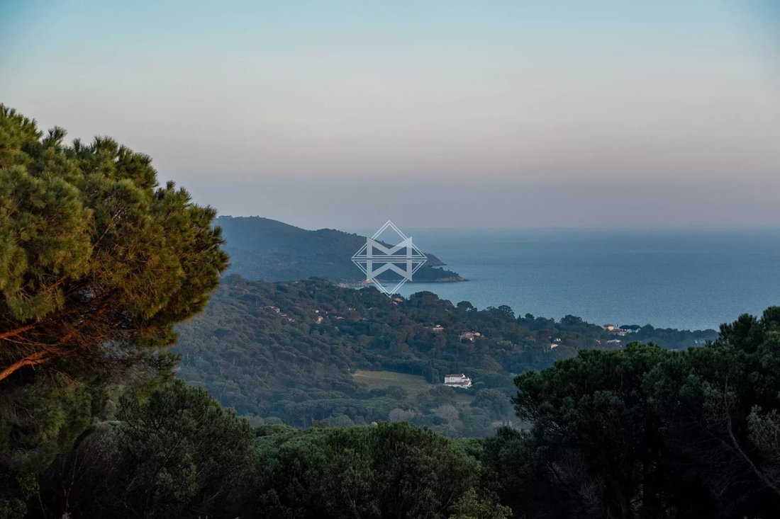 Villa in La Croix-Valmer, Provence-Alpes-Côte d'Azur, France 2 - 17451892