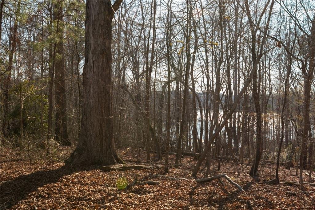 Land in Gainesville, Georgia, United States 5 - 17454791