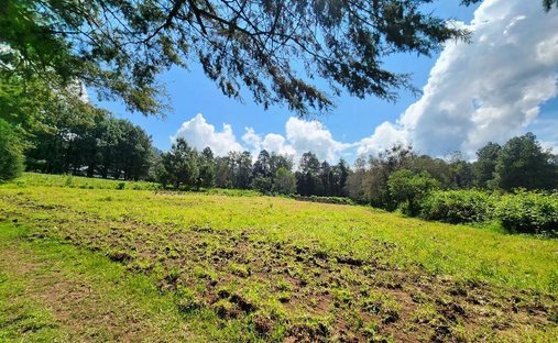 Land in Rancho Avándaro Country Club, State of Mexico, Mexico 1
