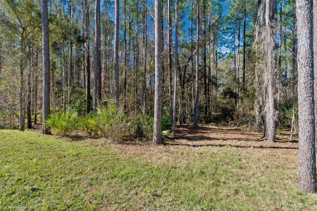House in South Brooksville, Florida, United States 3 - 17180436