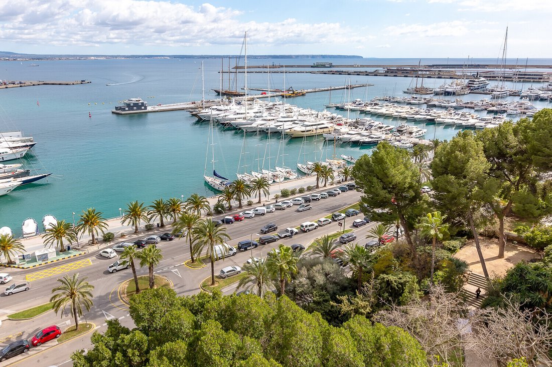 Apartment in Palma, Balearic Islands, Spain 1 - 17456868