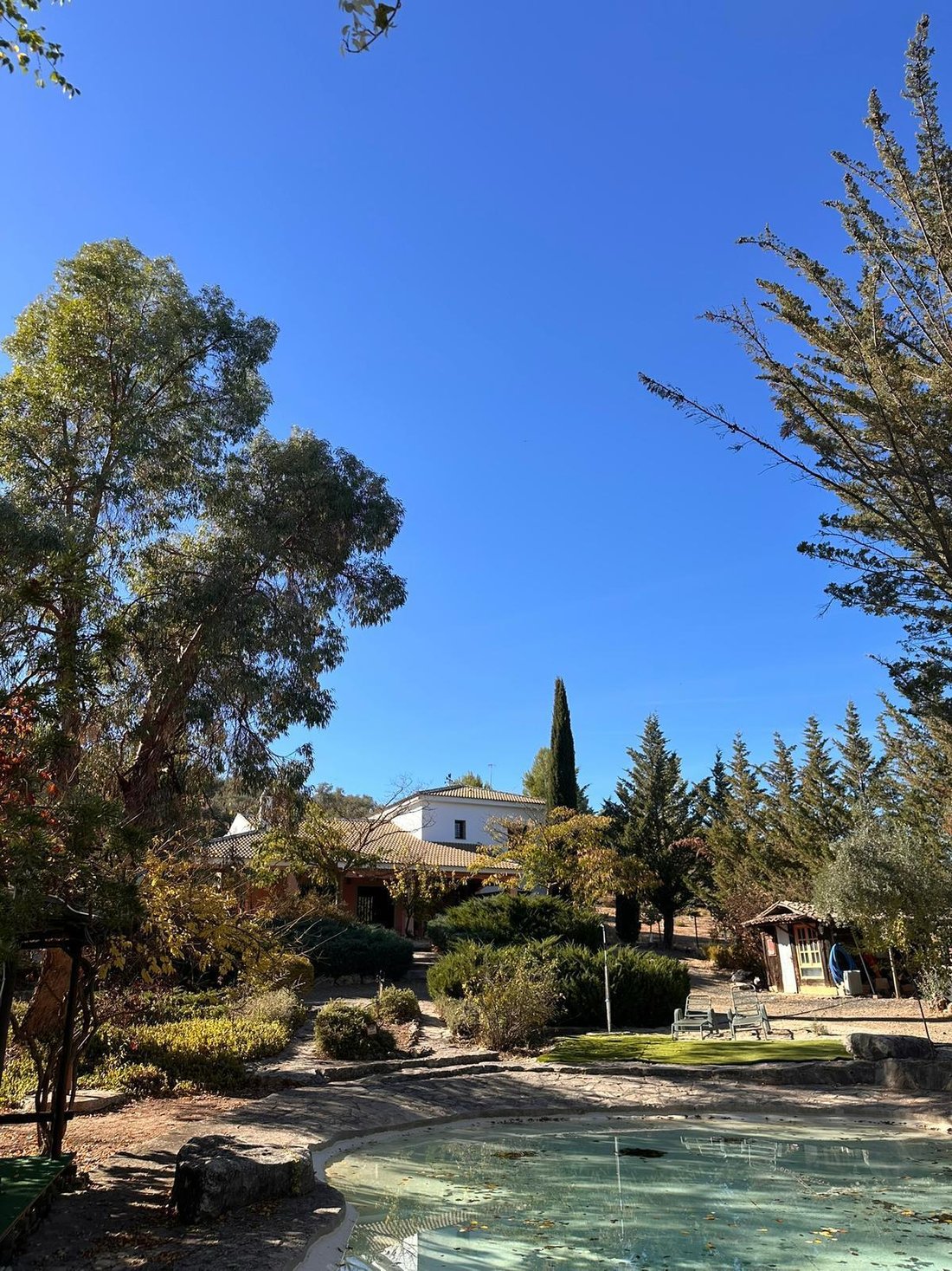 Country House in Archidona, Andalusia, Spain 2 - 17458705