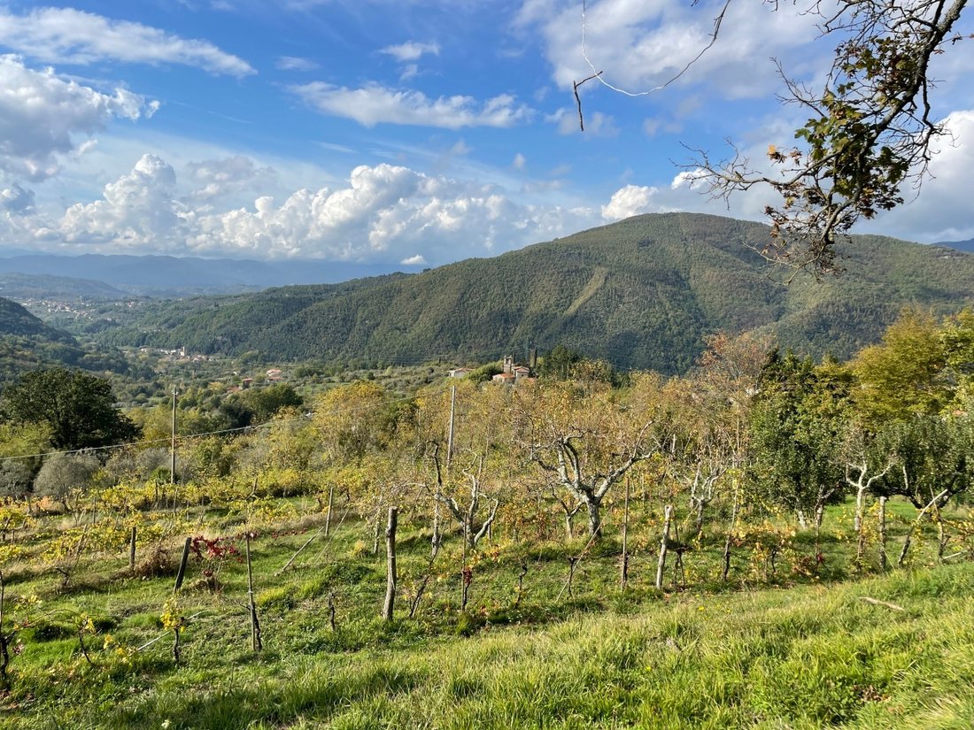 House in Fivizzano, Tuscany, Italy 5 - 17463857