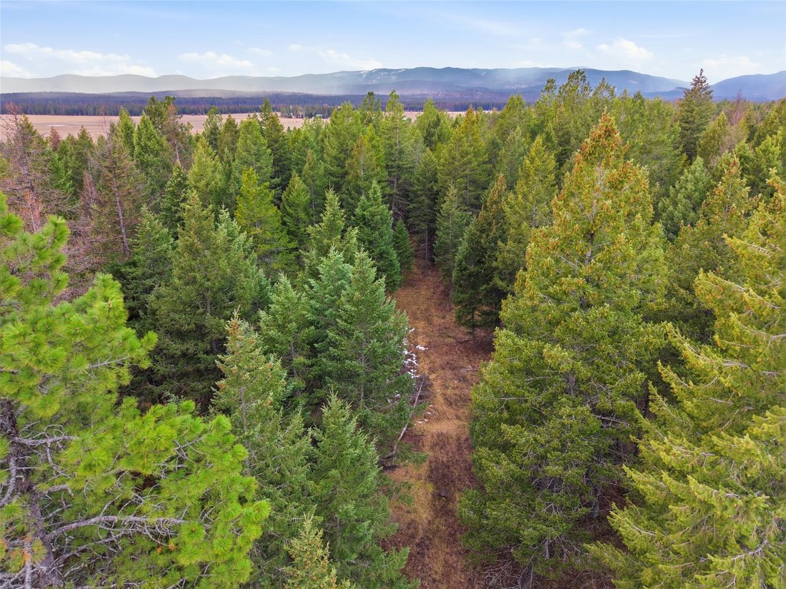 Land in Whitefish, Montana, United States 2 - 17468764