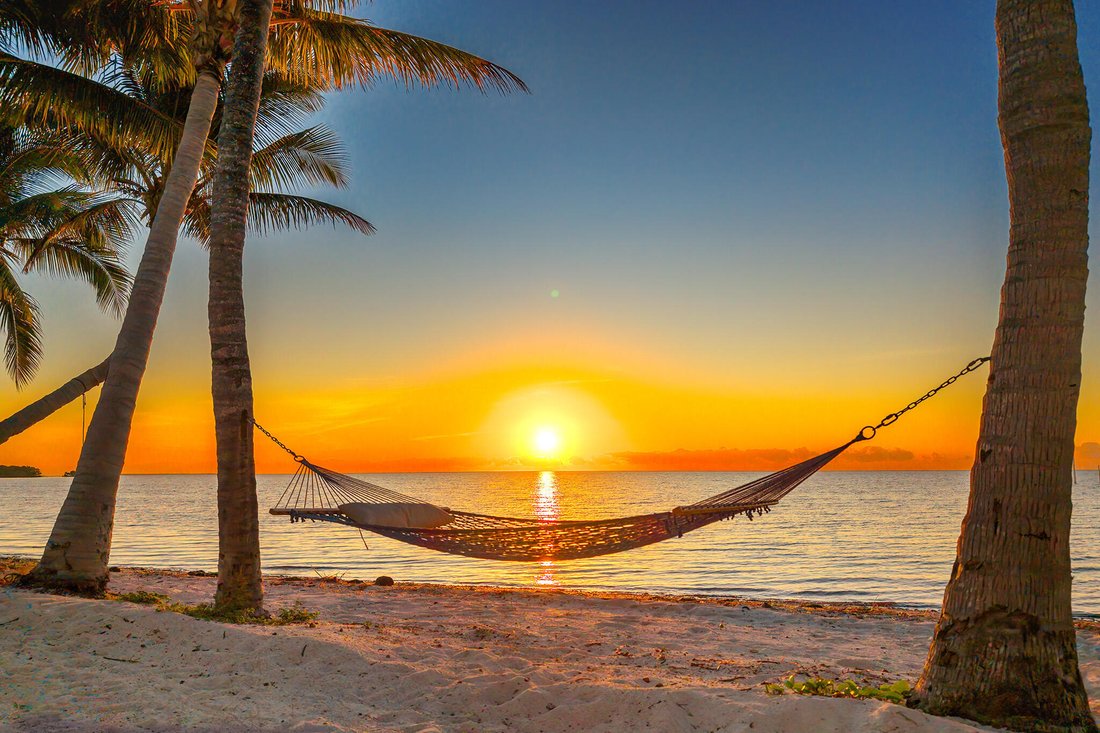 Big Pine Key, Florida, United States 5 - 17465707
