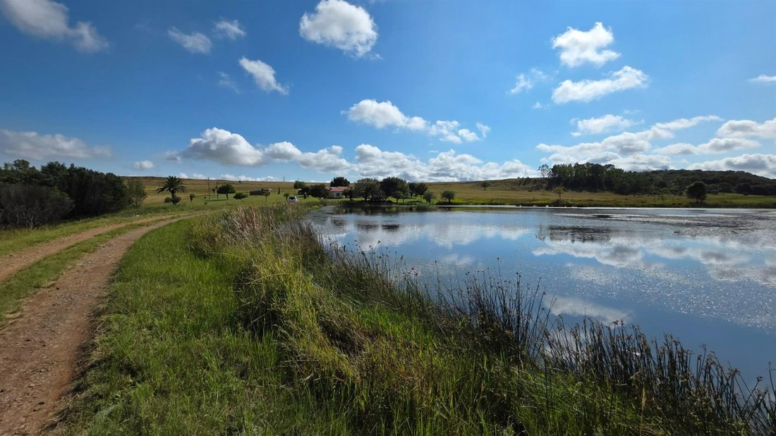 Farm Ranch in City of Tshwane Metropolitan Municipality, Gauteng, South Africa 1 - 17467298